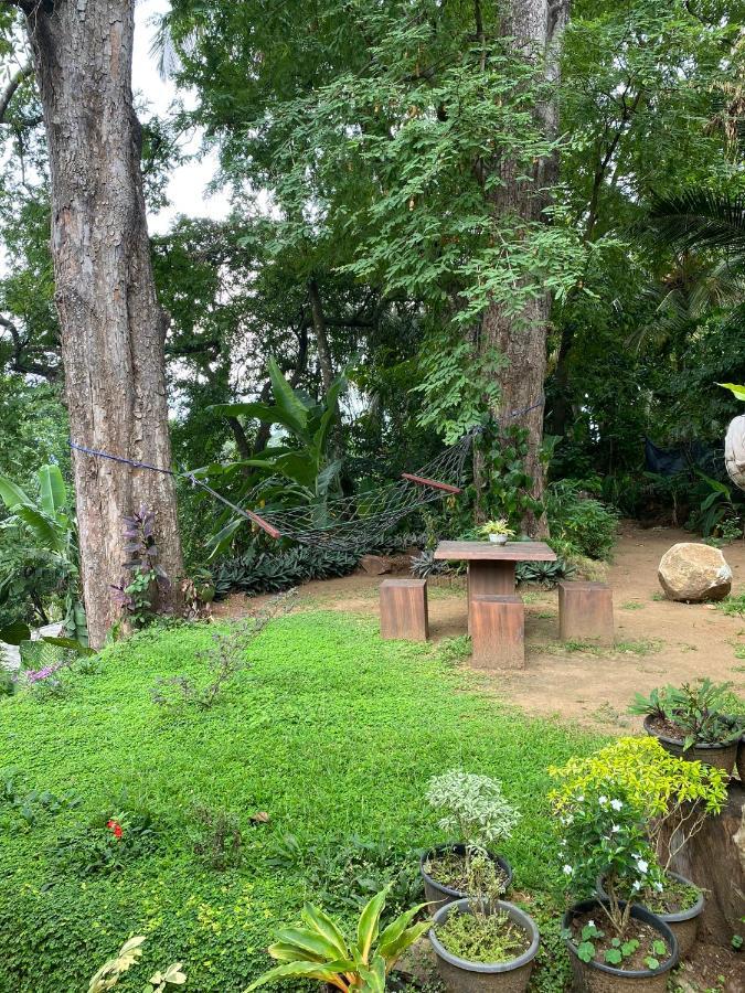 Pearl'S Homestay มาตาเล ภายนอก รูปภาพ